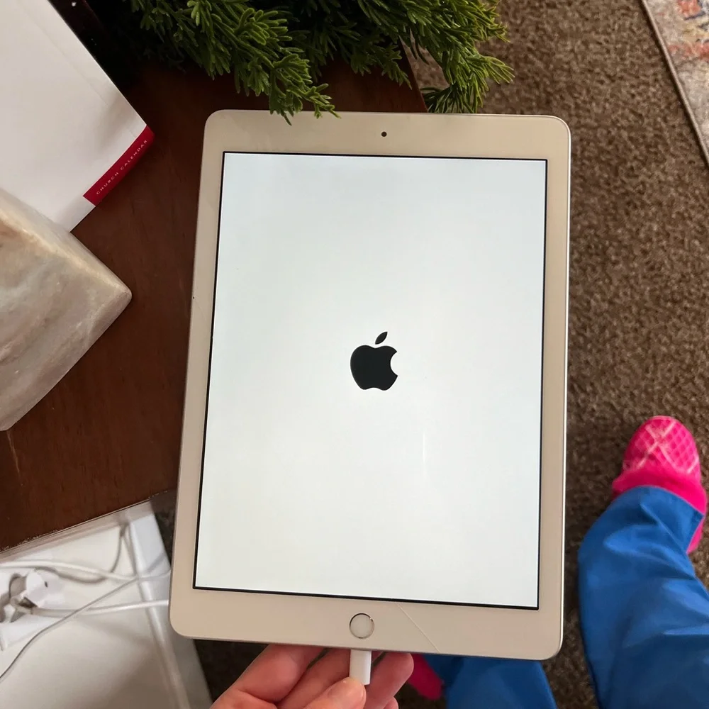 Locked Apple iPad - Silver
